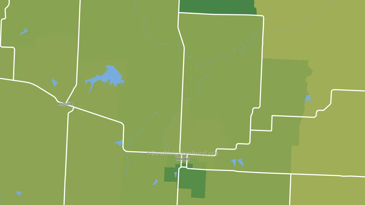 Holden, MO block-group voter-turnout map