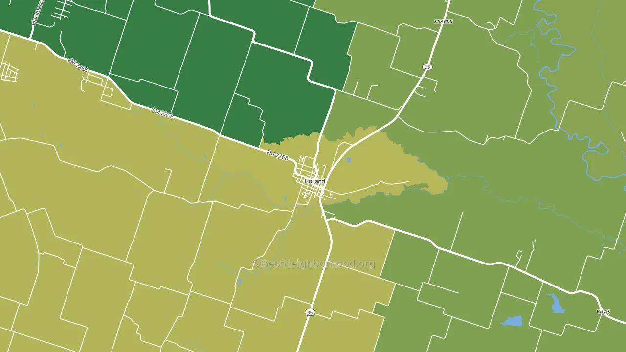 Holland, TX block-group voter-turnout map