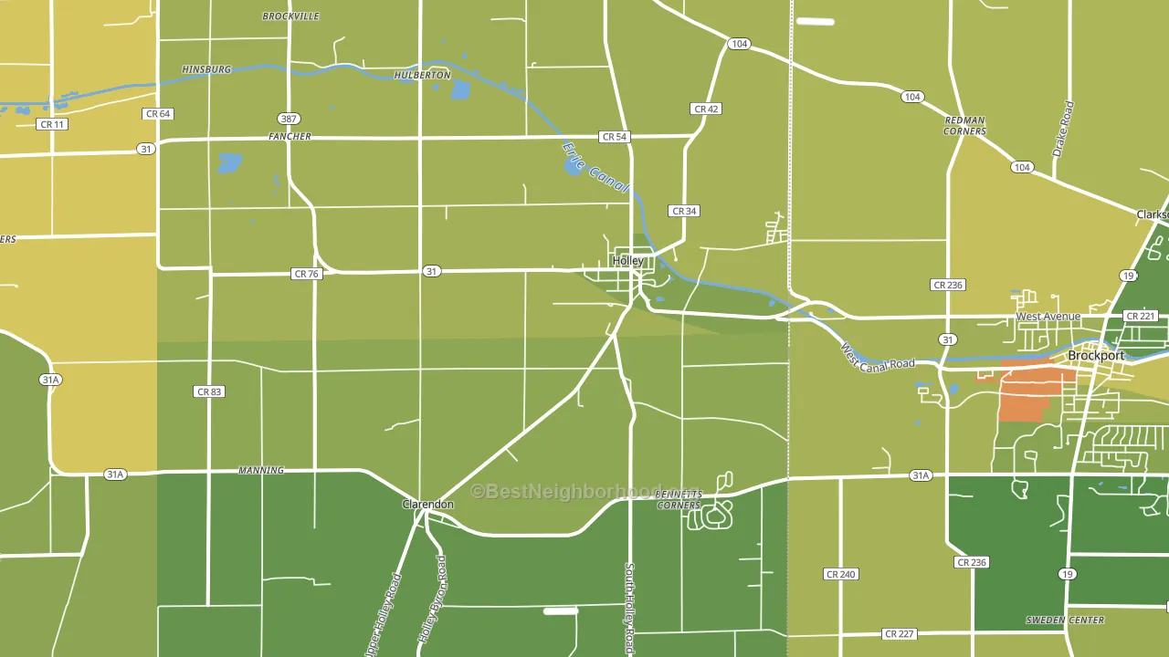 Holley, NY block-group voter-turnout map