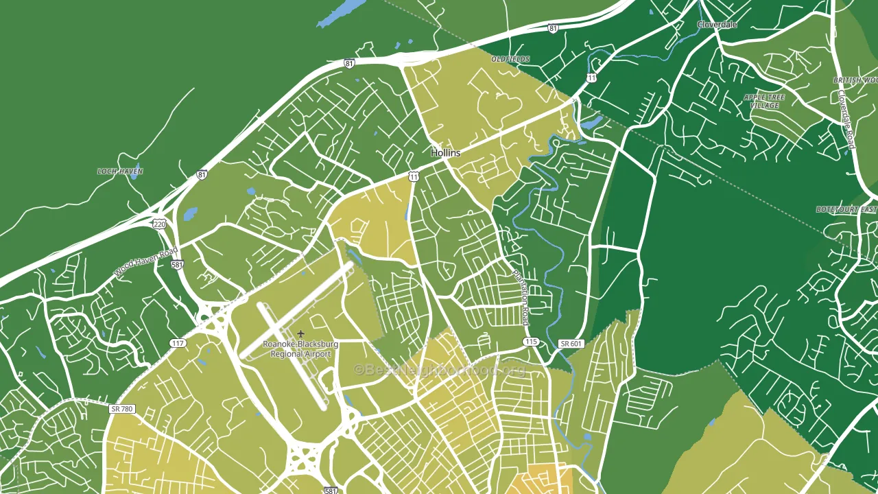 Hollins, VA block-group voter-turnout map