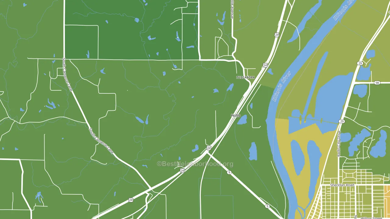 Hollis, IL block-group voter-turnout map