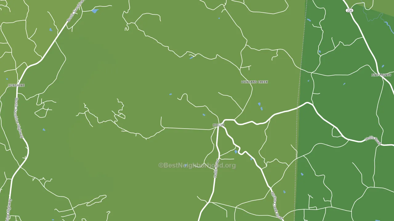 Hollis, NC block-group voter-turnout map