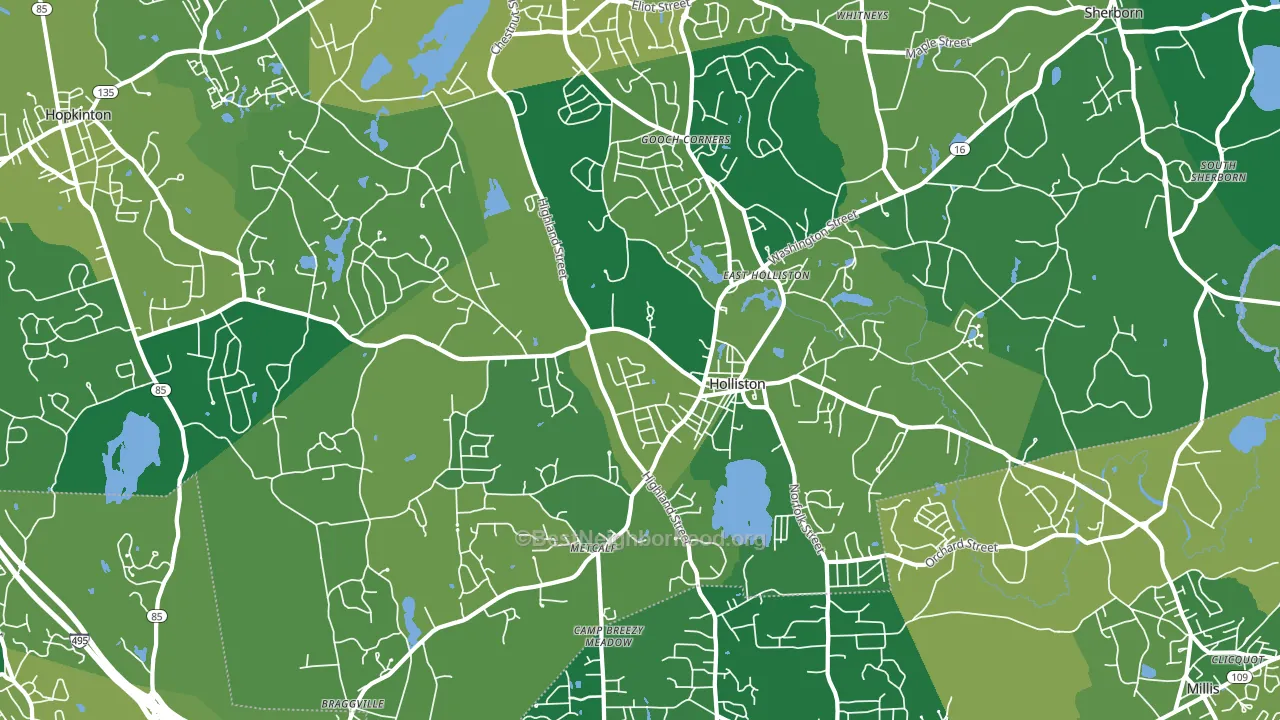Holliston, MA block-group voter-turnout map