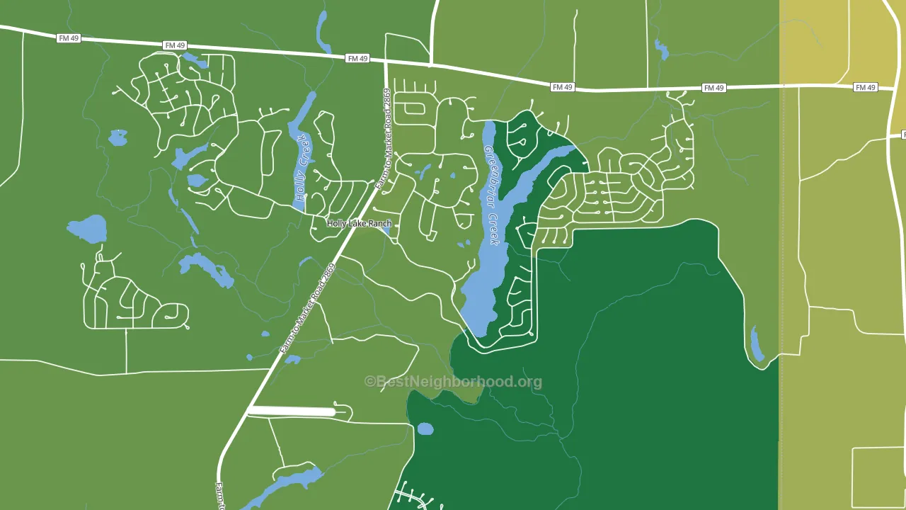 Holly Lake Ranch, TX block-group voter-turnout map