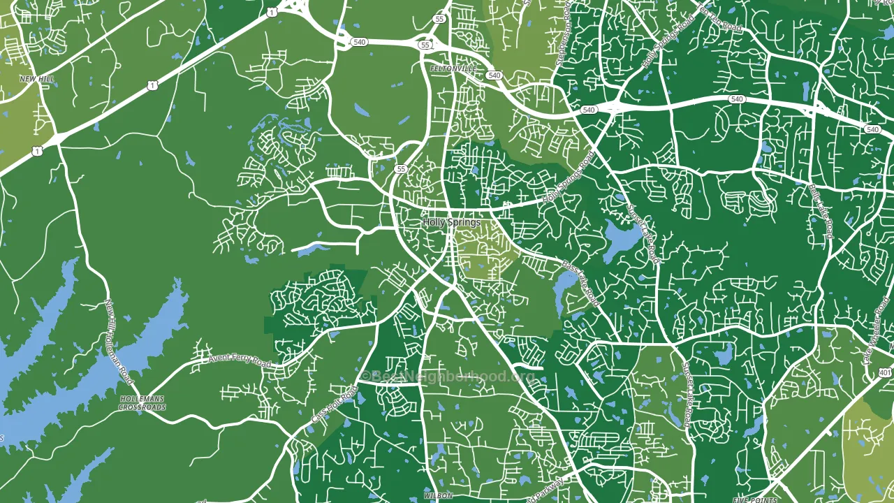 Holly Springs, NC block-group voter-turnout map