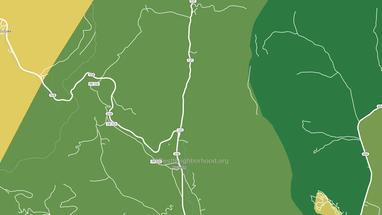 Holman, NM block-group voter-turnout map