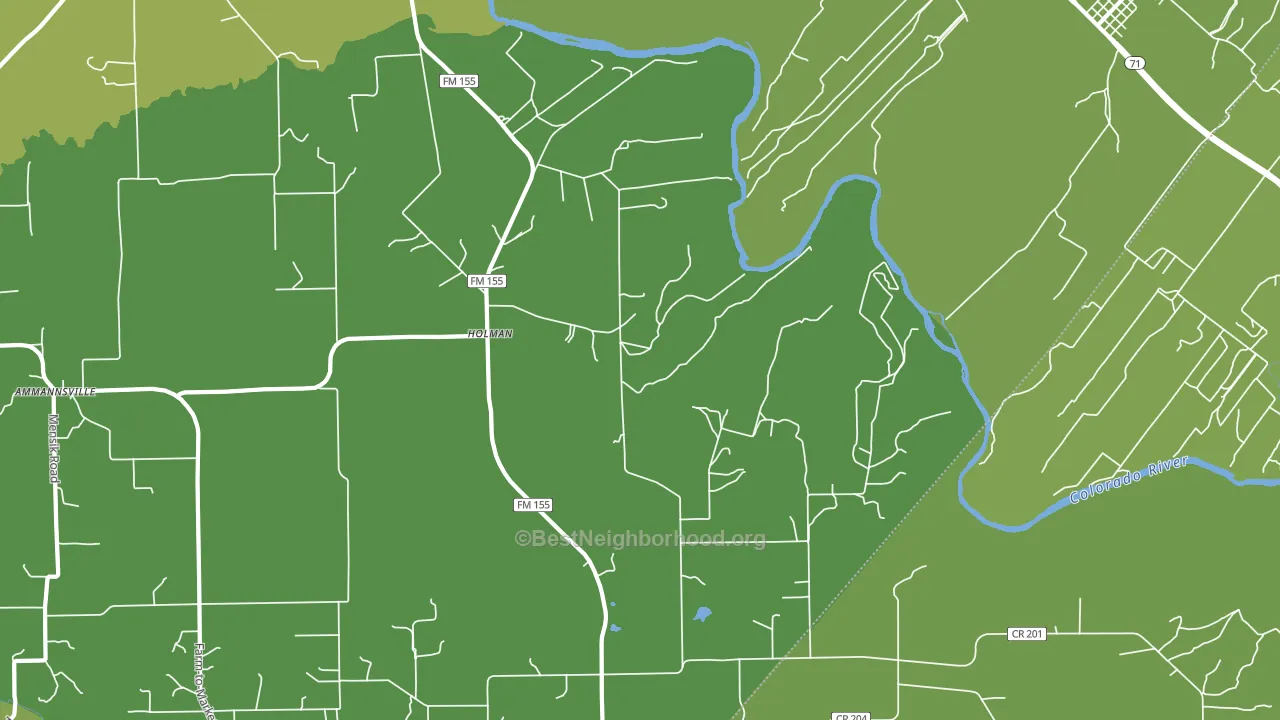 Holman, TX block-group voter-turnout map