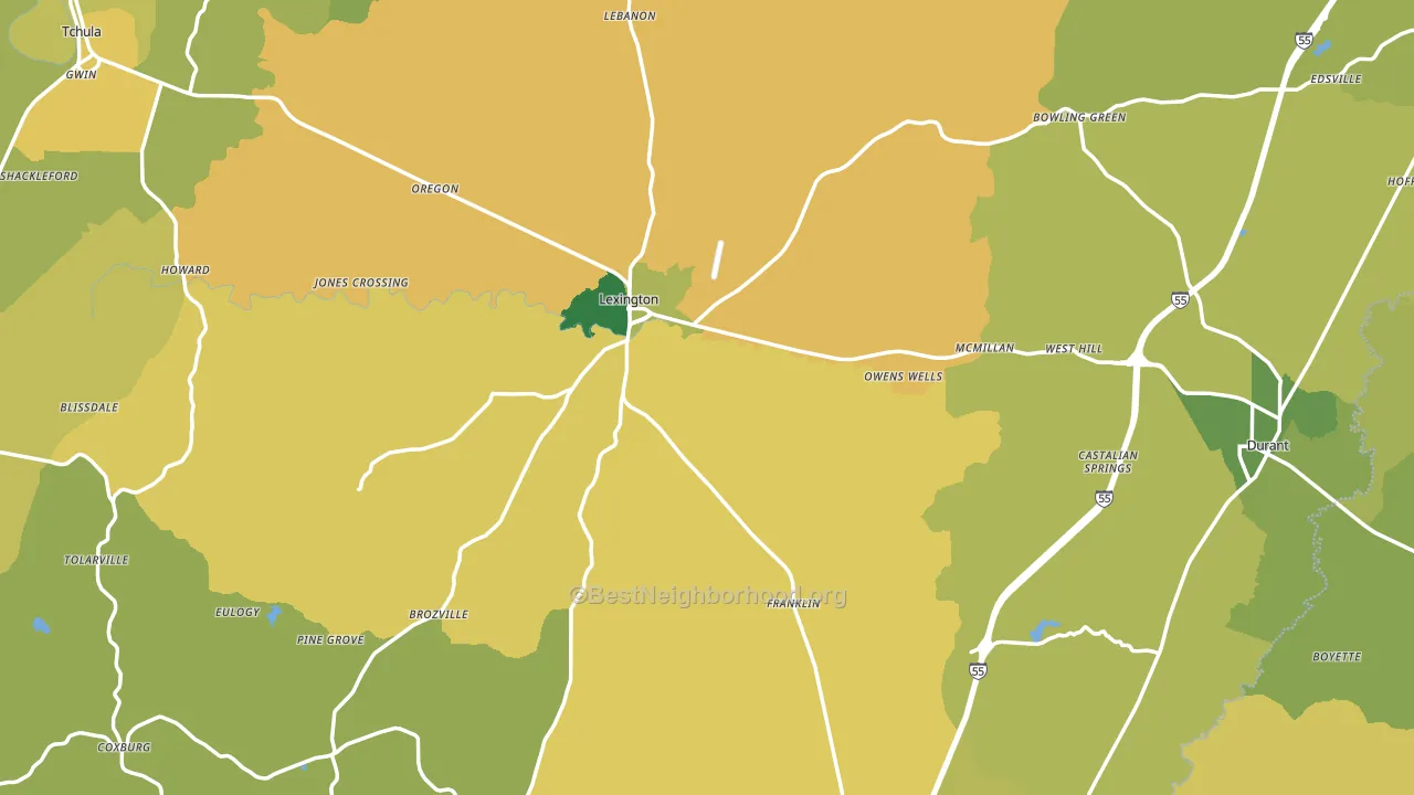 Holmes County, MS block-group voter-turnout map