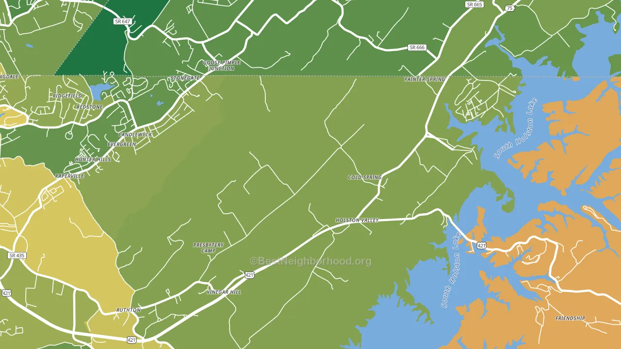 Holston Valley, TN block-group voter-turnout map