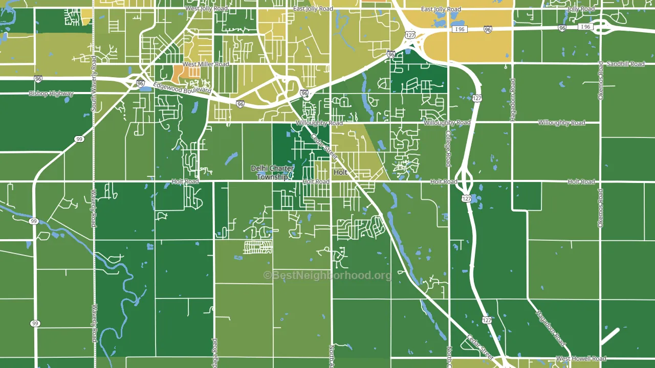 Holt, MI block-group voter-turnout map