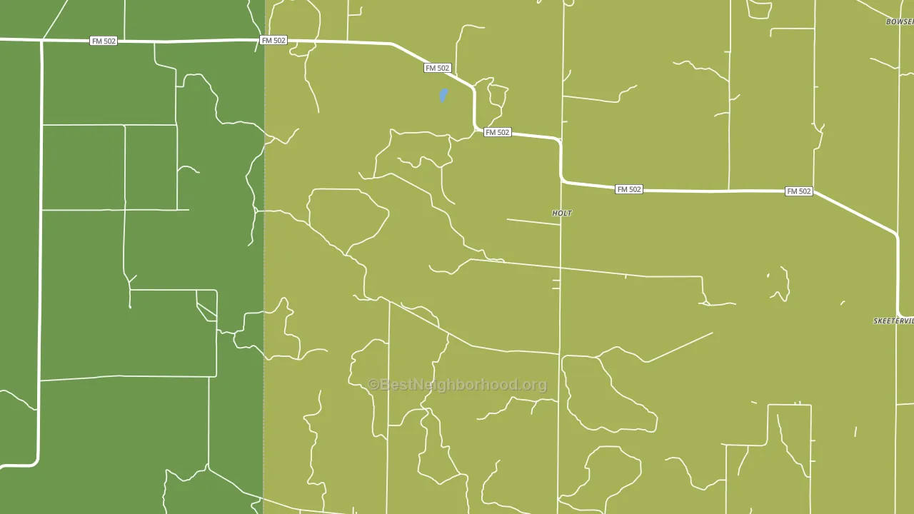 Holt, TX block-group voter-turnout map