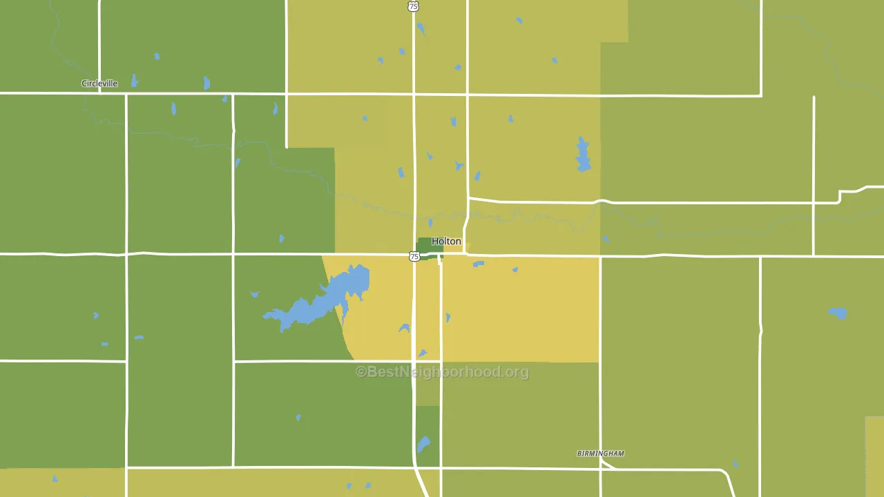 Holton, KS block-group voter-turnout map