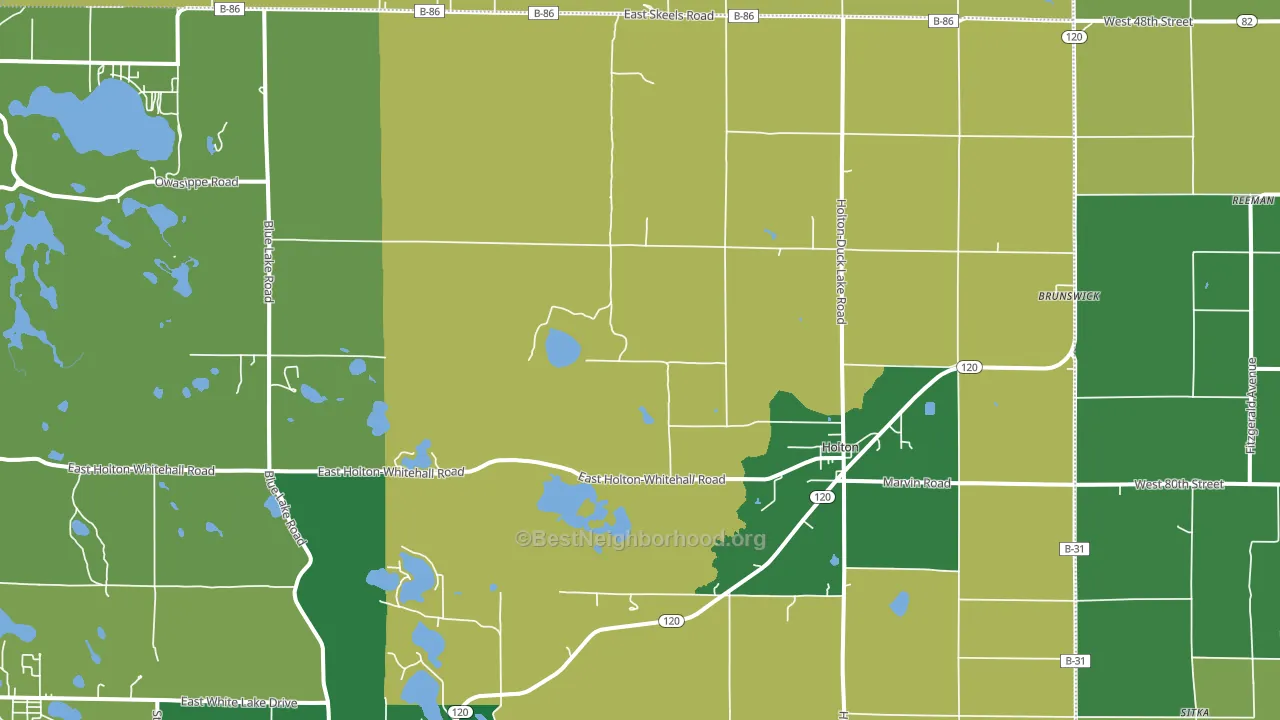 Holton, MI block-group voter-turnout map