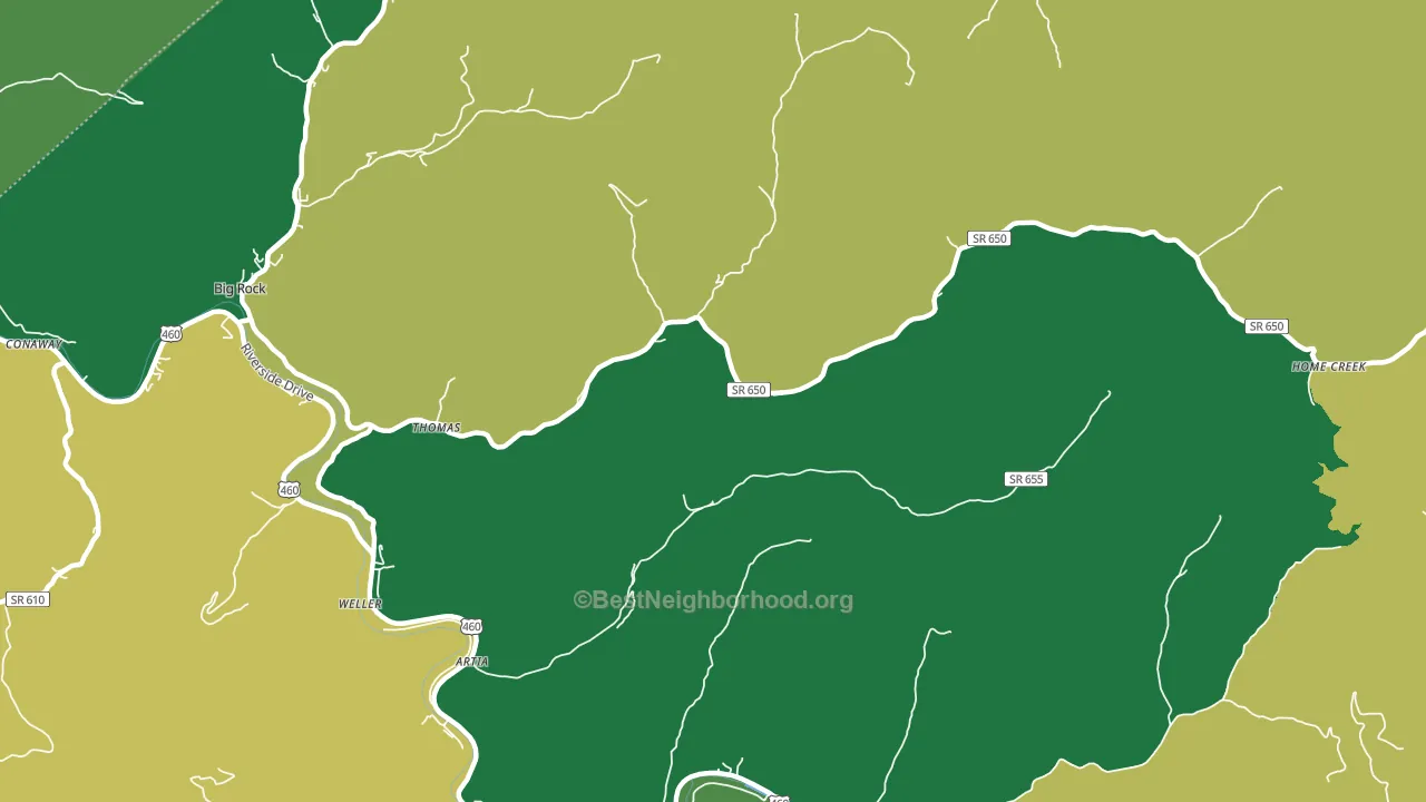 Home Creek, VA block-group voter-turnout map