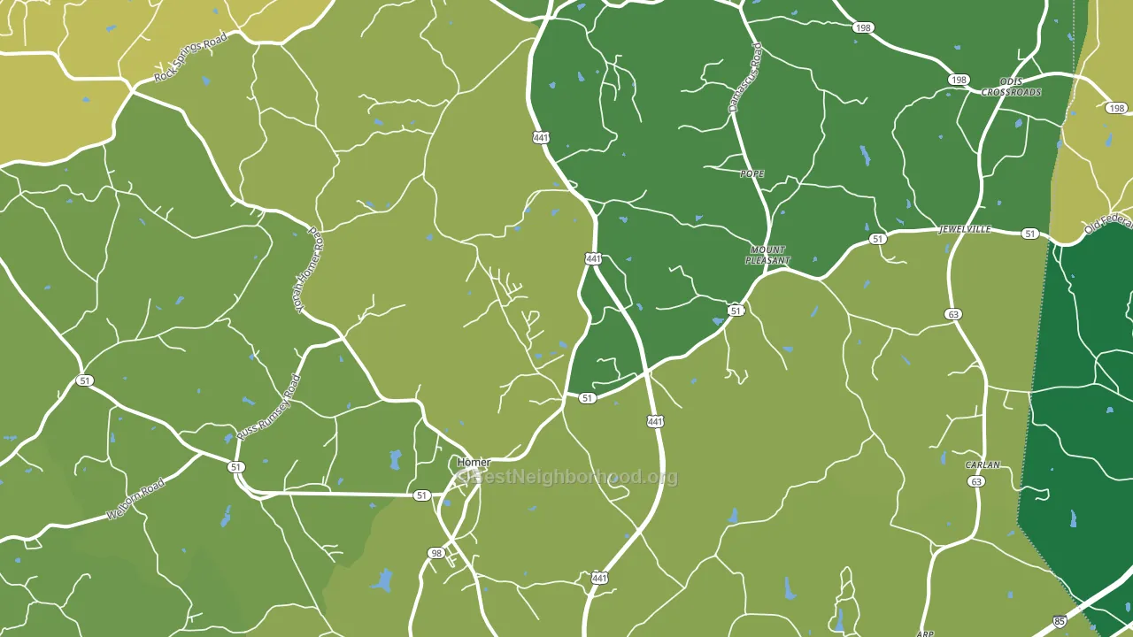 Homer, GA block-group voter-turnout map