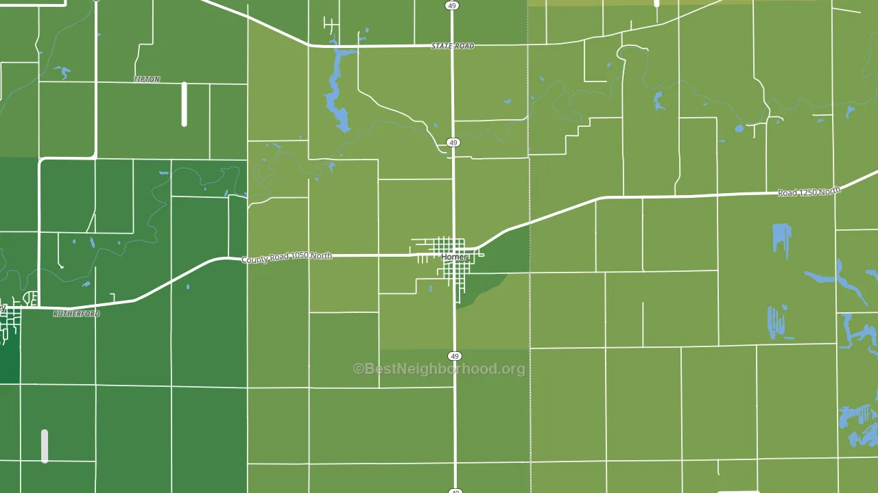 Homer, IL block-group voter-turnout map