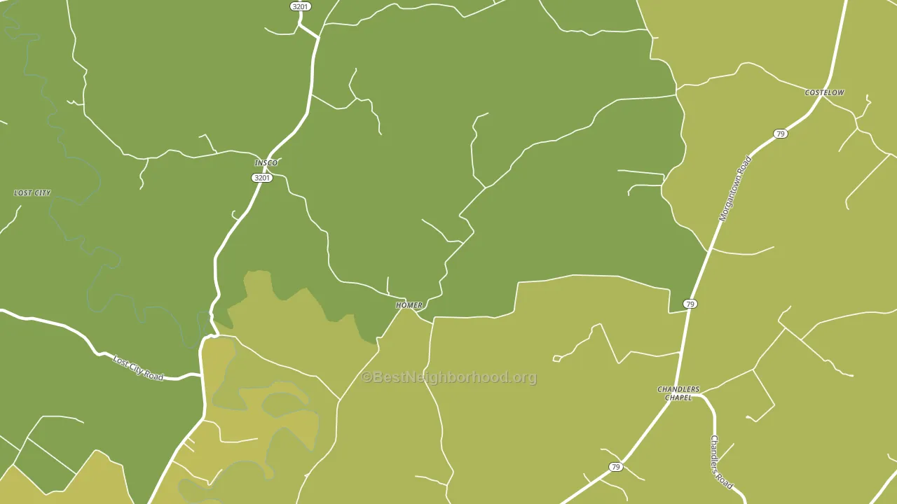 Homer, KY block-group voter-turnout map