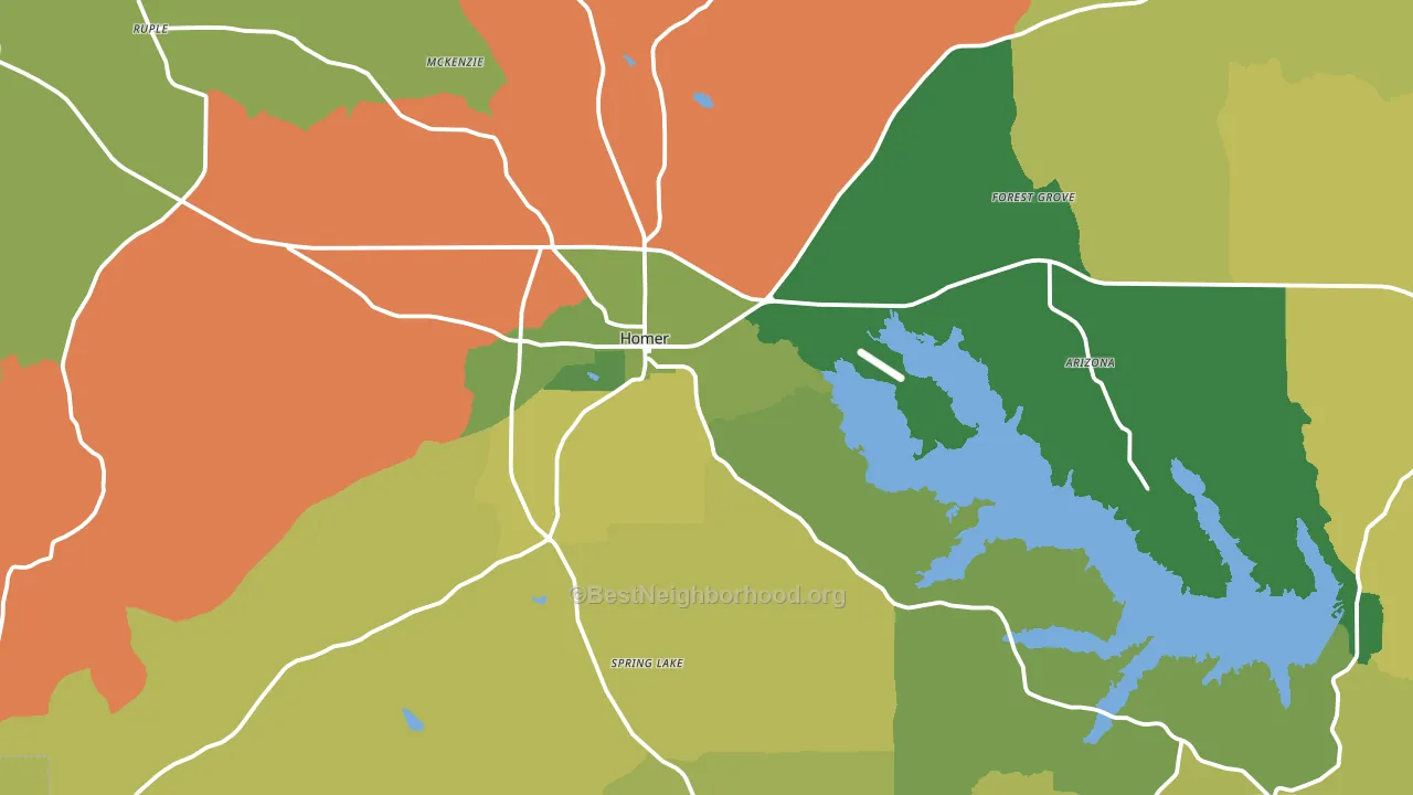 Homer, LA block-group voter-turnout map