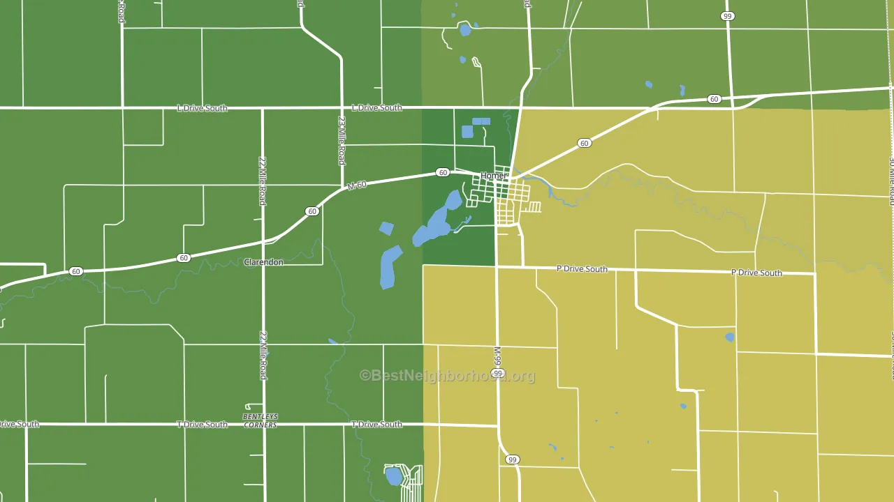 Homer, MI block-group voter-turnout map