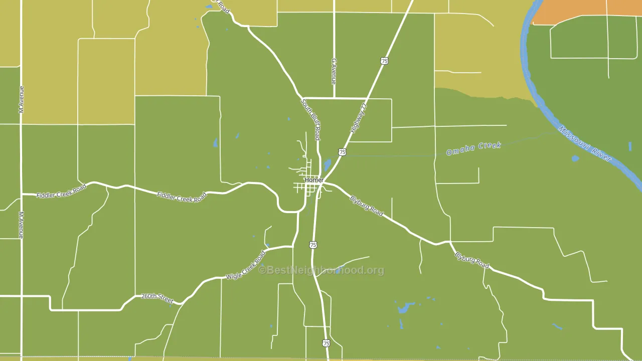 Homer, NE block-group voter-turnout map
