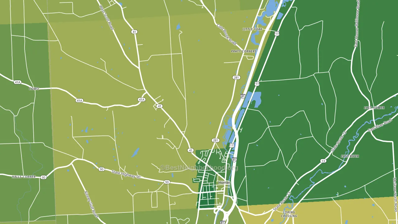 Homer, NY block-group voter-turnout map