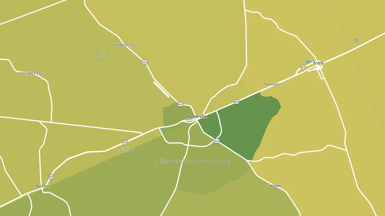Homerville, GA block-group voter-turnout map