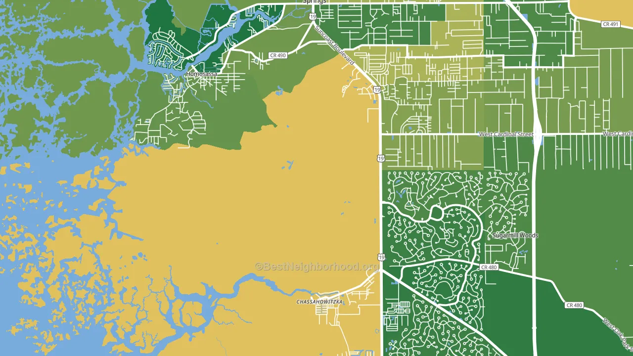 Homosassa, FL block-group voter-turnout map