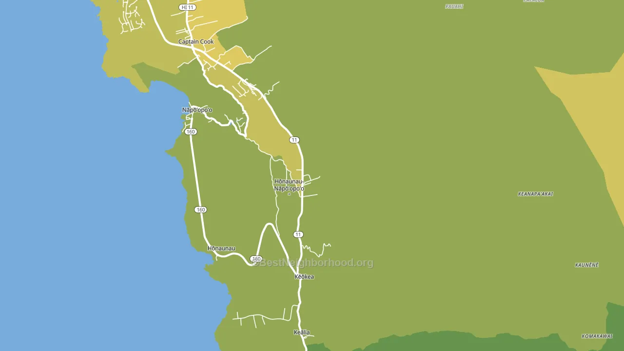 Honaunau-Napoopoo, HI block-group voter-turnout map