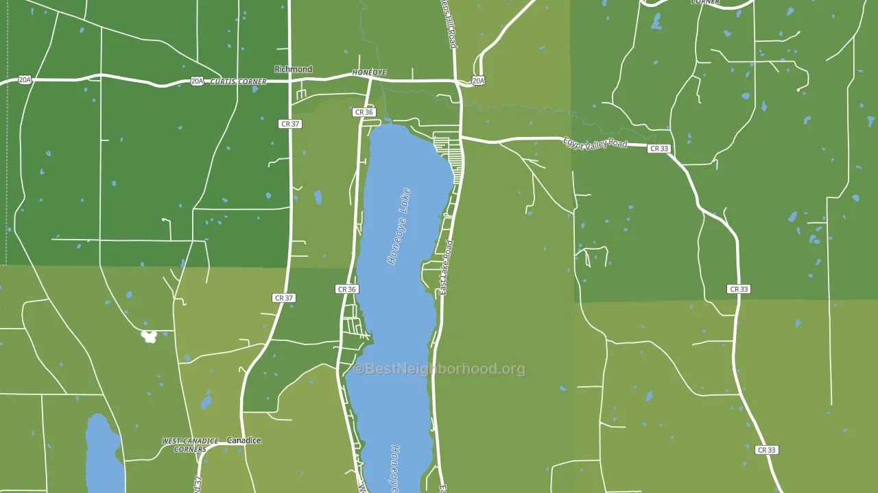 Honeoye, NY block-group voter-turnout map