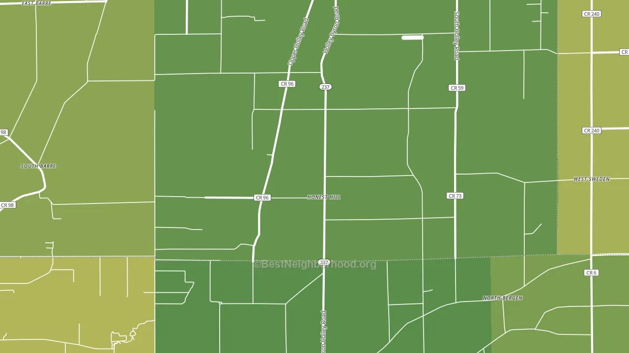 Honest Hill, NY block-group voter-turnout map