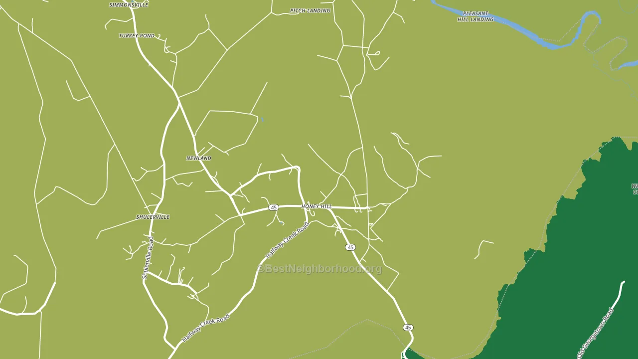 Honey Hill, SC block-group voter-turnout map