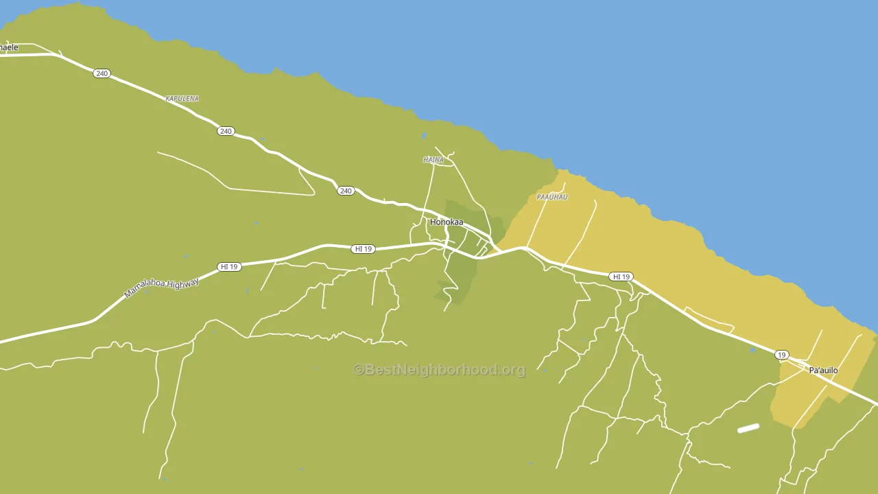 Honokaa, HI block-group voter-turnout map