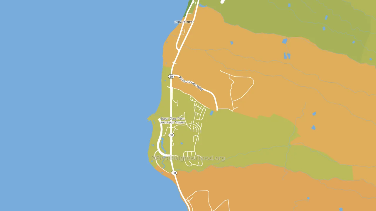Honokowai, HI block-group voter-turnout map
