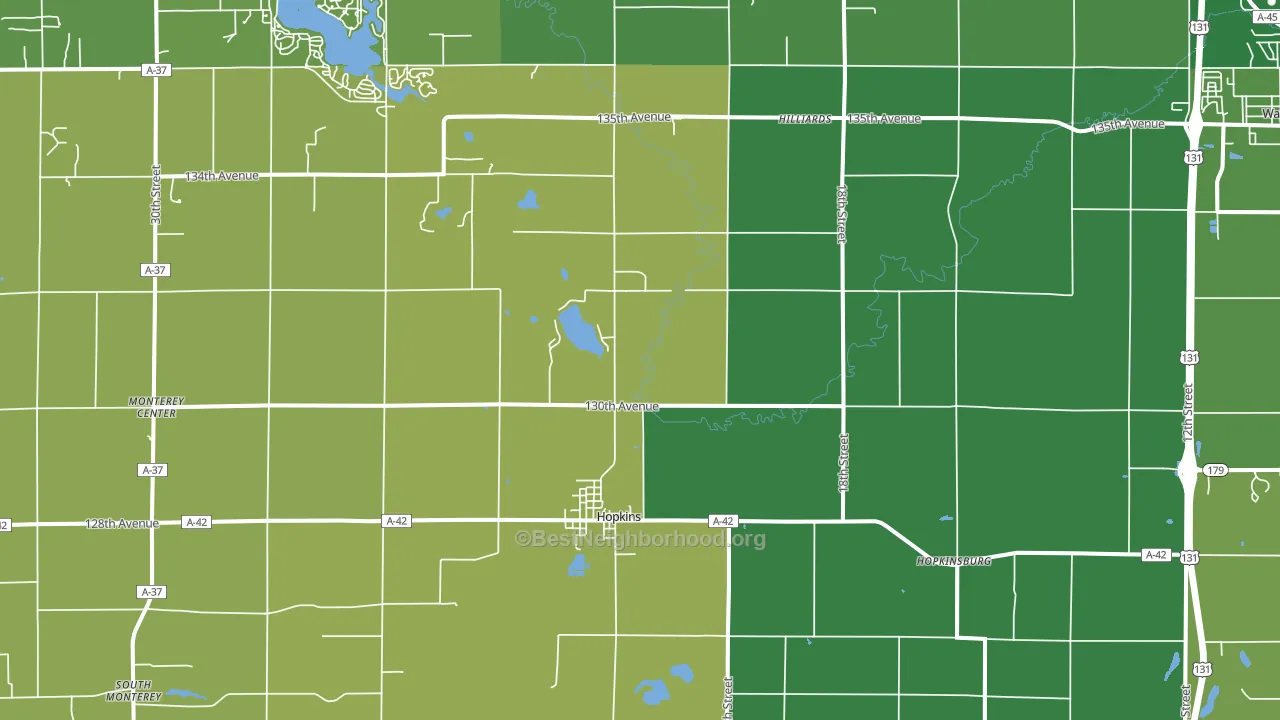 Hopkins, MI block-group voter-turnout map