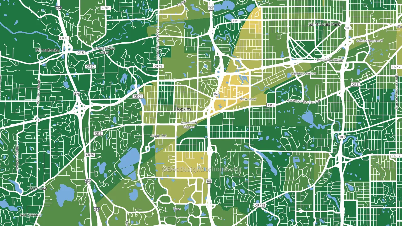 Hopkins, MN block-group voter-turnout map