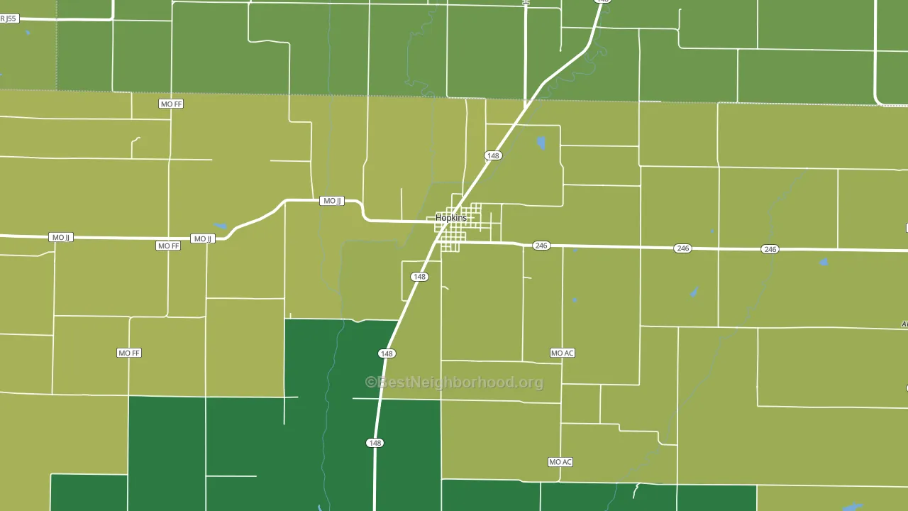 Hopkins, MO block-group voter-turnout map