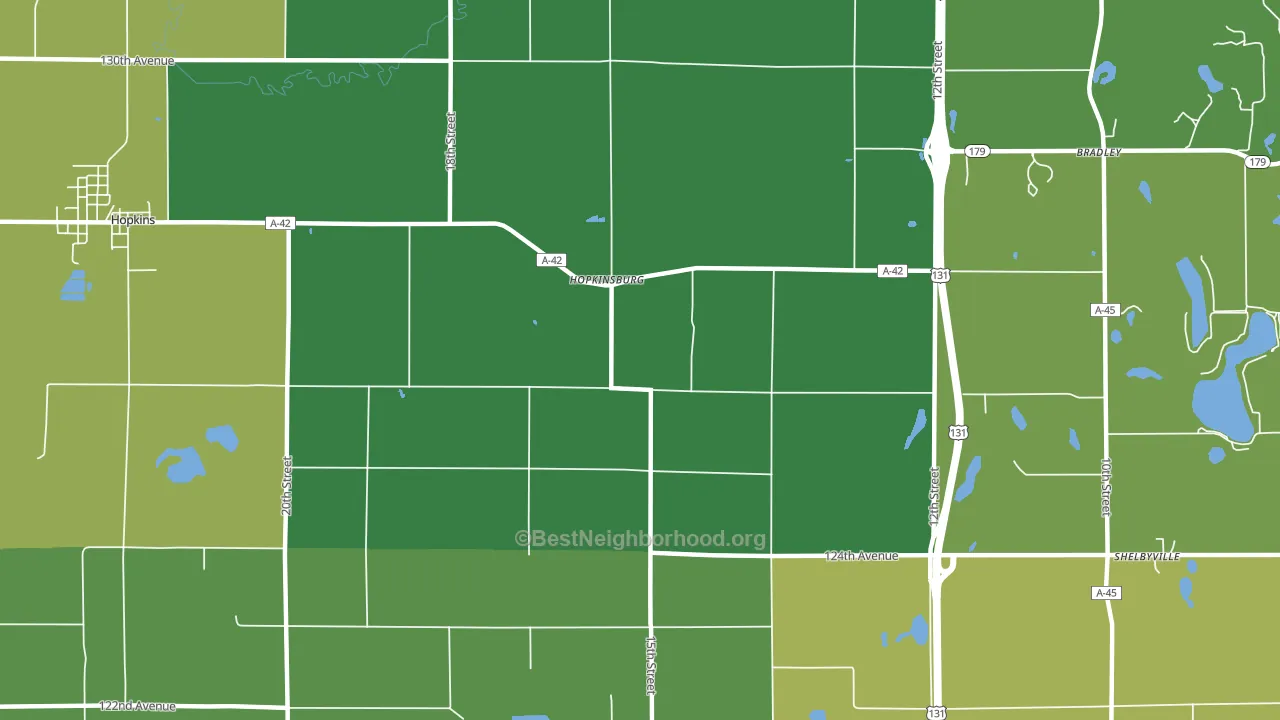Hopkinsburg, MI block-group voter-turnout map