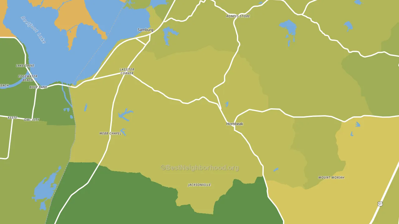 Hornbeak, TN block-group voter-turnout map