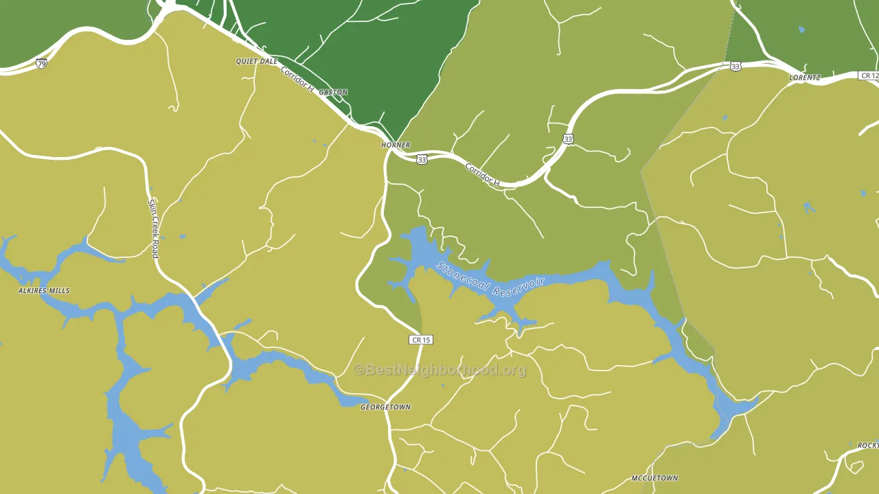 Horner, WV block-group voter-turnout map