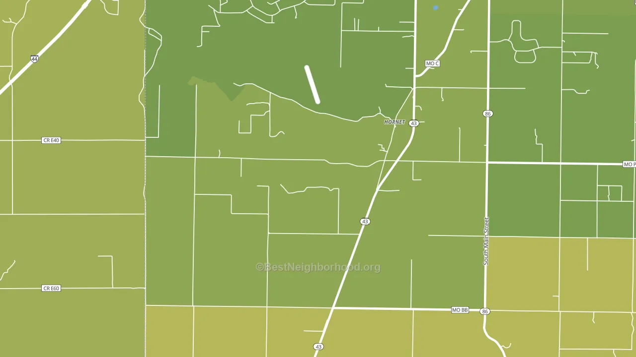 Hornet, MO block-group voter-turnout map