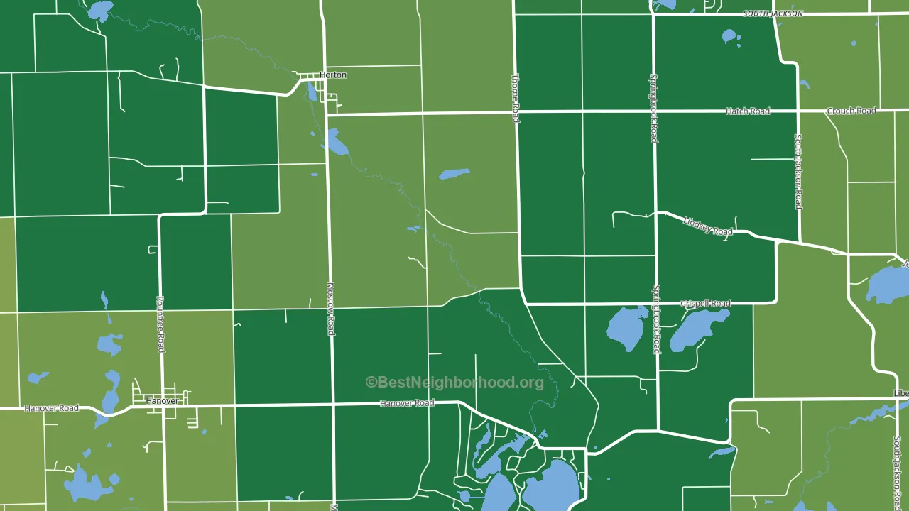 Horton, MI block-group voter-turnout map