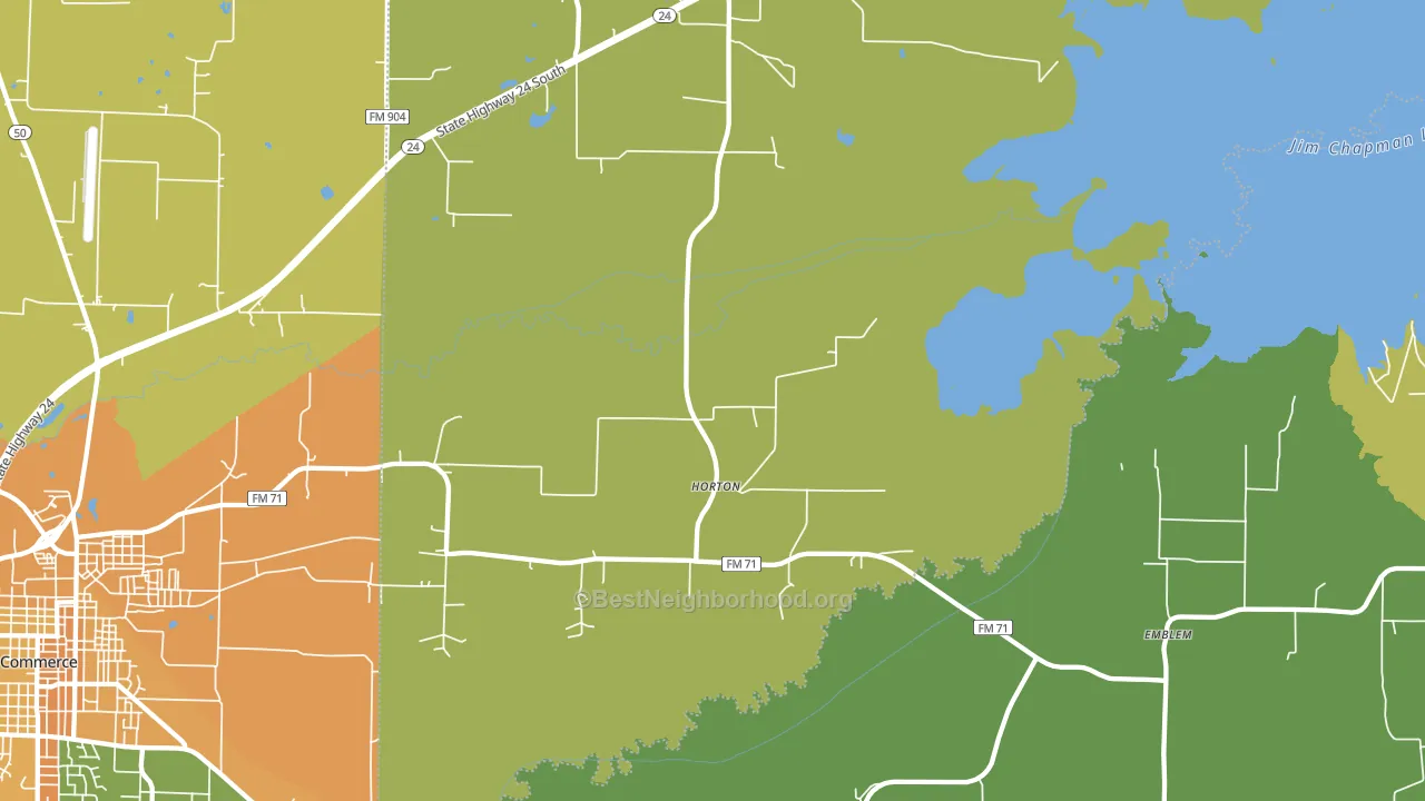 Horton, TX block-group voter-turnout map