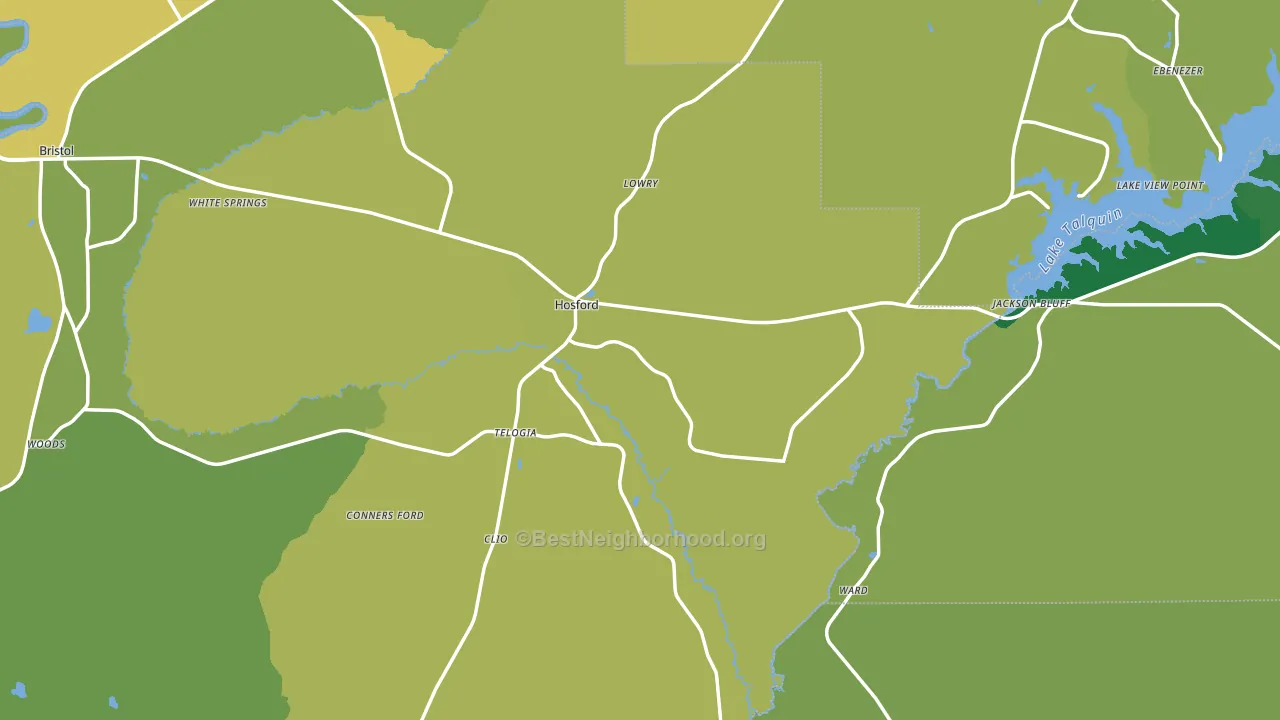 Hosford, FL block-group voter-turnout map