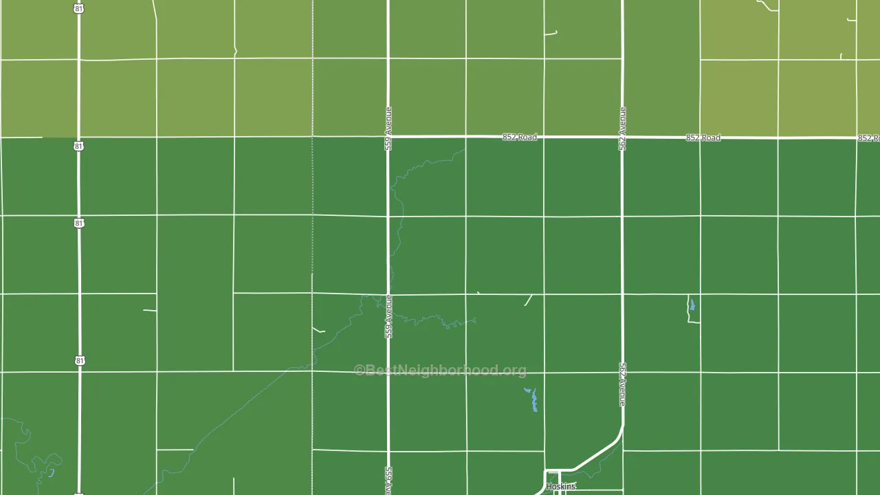 Hoskins, NE block-group voter-turnout map