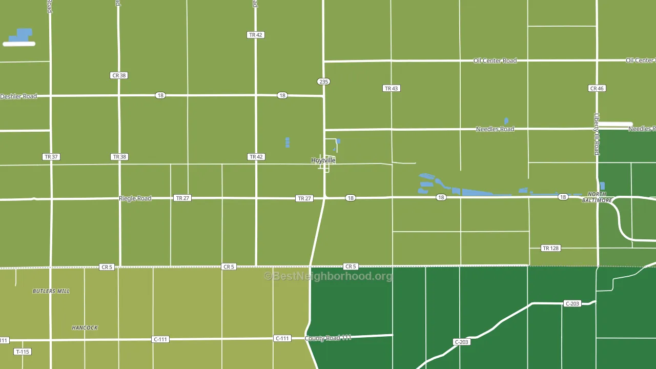 Hoytville, OH block-group voter-turnout map