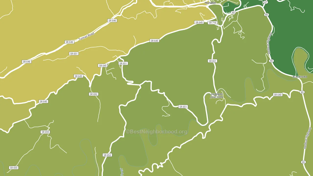 Hubbard Junction, VA block-group voter-turnout map