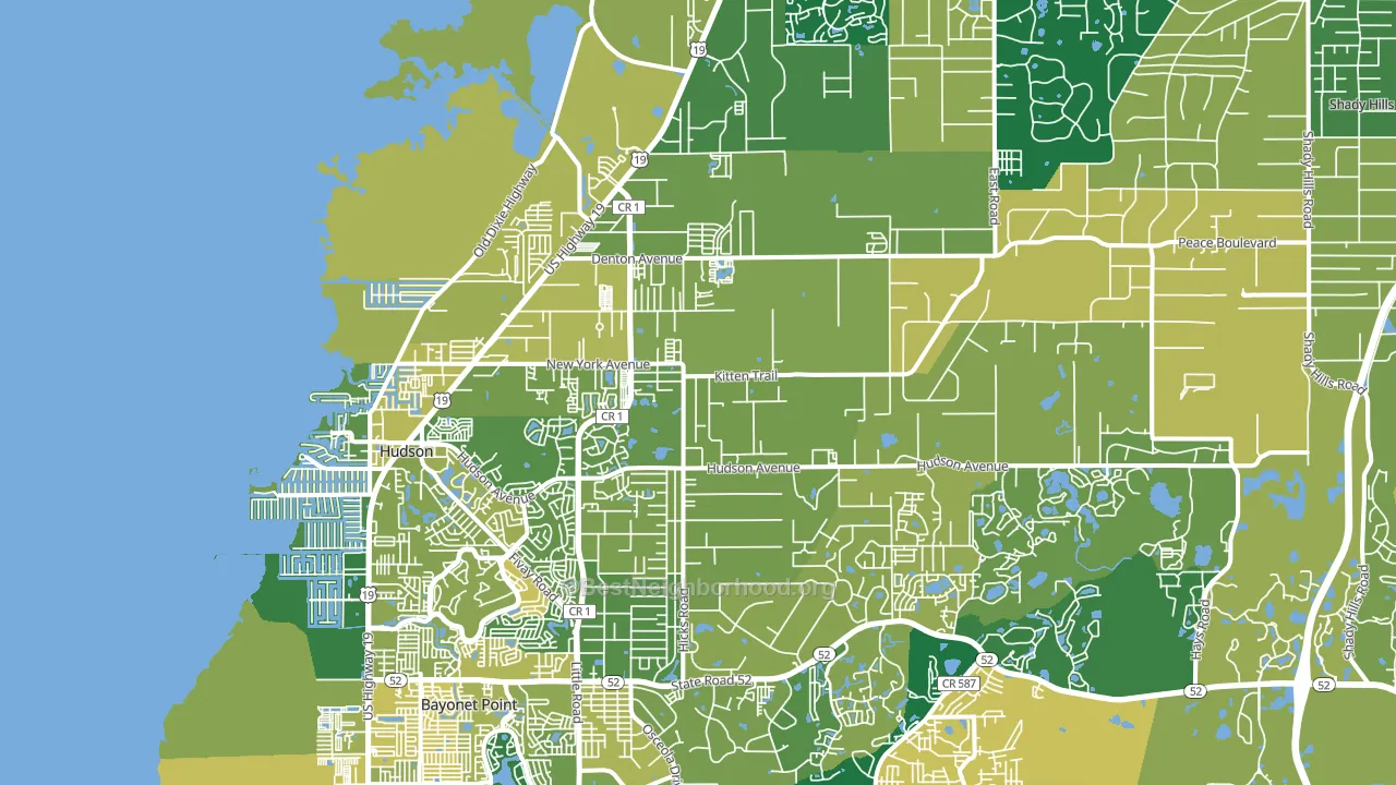 Hudson, FL block-group voter-turnout map