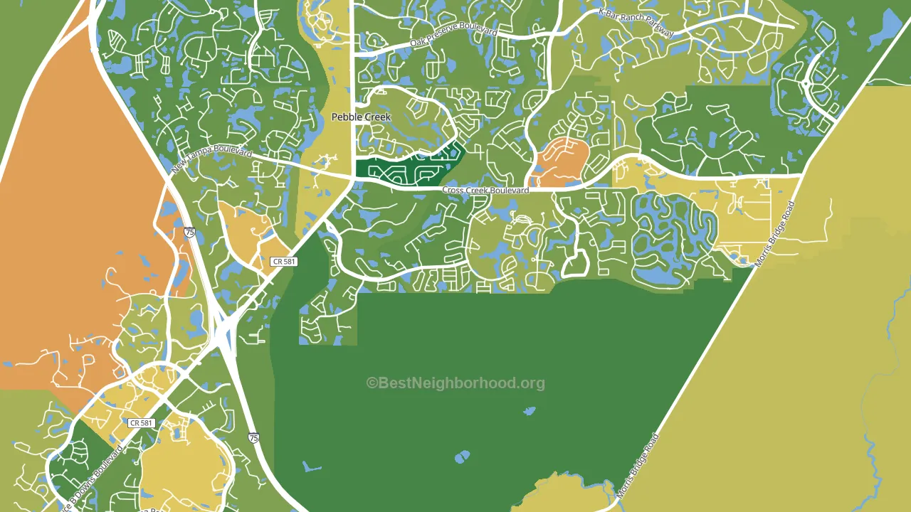 Hunters Green, Tampa, FL block-group voter-turnout map