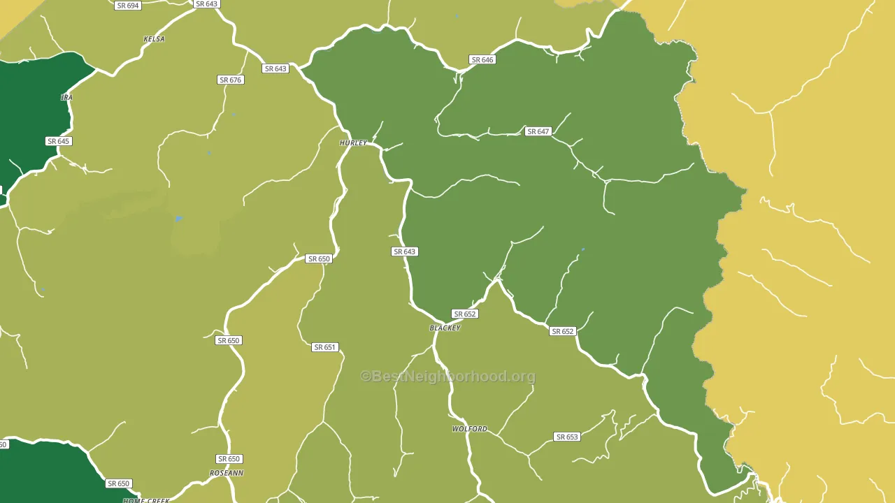Hurley, VA block-group voter-turnout map