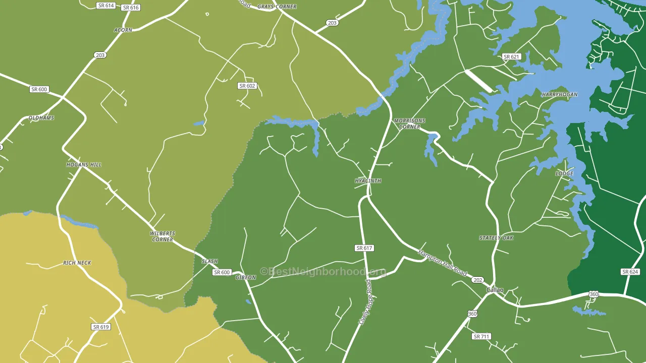 Hyacinth, VA block-group voter-turnout map